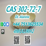 Hot Selling 99% Purity CAS 302-72-7 for Food Additives Dl-Alanine