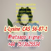 L-Lysine for Proper Growth and Production of Carnitine CAS 56-87-1