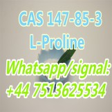 Manufacturing CAS 147-85-3 L-Proline