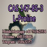 Powder L-Proline CAS 147-85-3